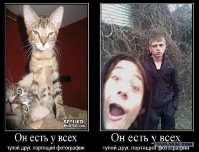 Испортить качество фото мем Серьезный и смешной - ЯПлакалъ