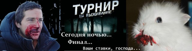 Что получится, если дать кролику вишню