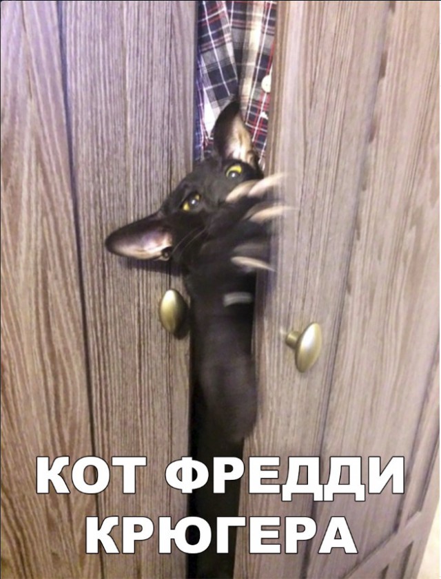 Нестандартный юмор