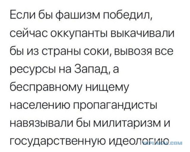 Это вам не Франция! Воспоминания немецких солдат, письма из фронта, мемуары немцев из фронта