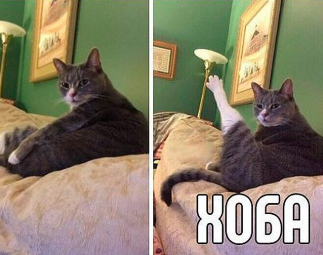 Р - Растяжка