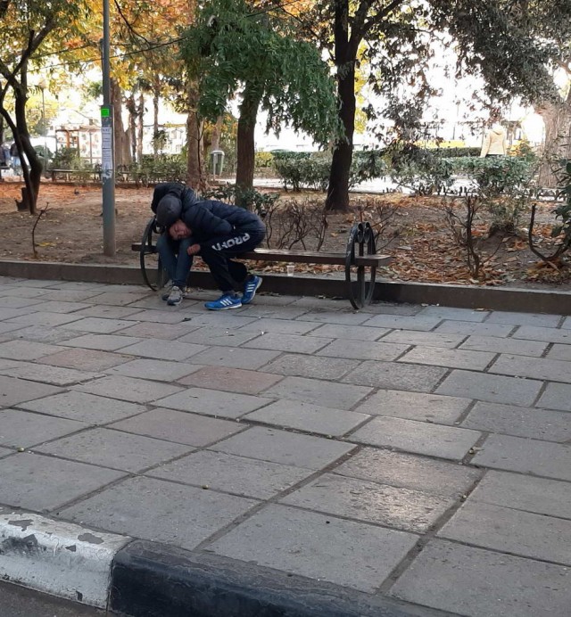 Скотсети и прочие интернеты 11.12.20