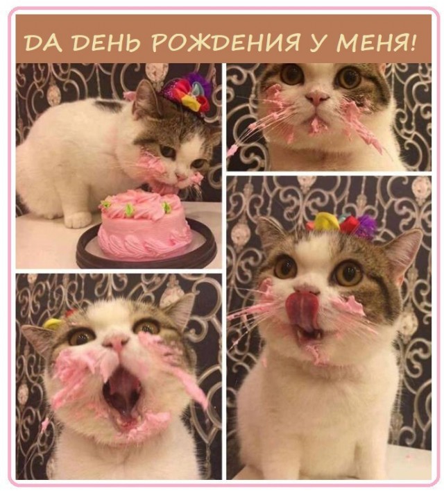 Картинки всякие 13.02.21