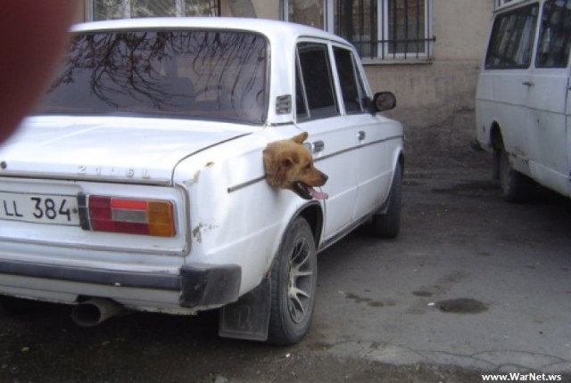Опять показалось ...