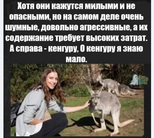 Картинки и мемы для настроения 01.04.2021