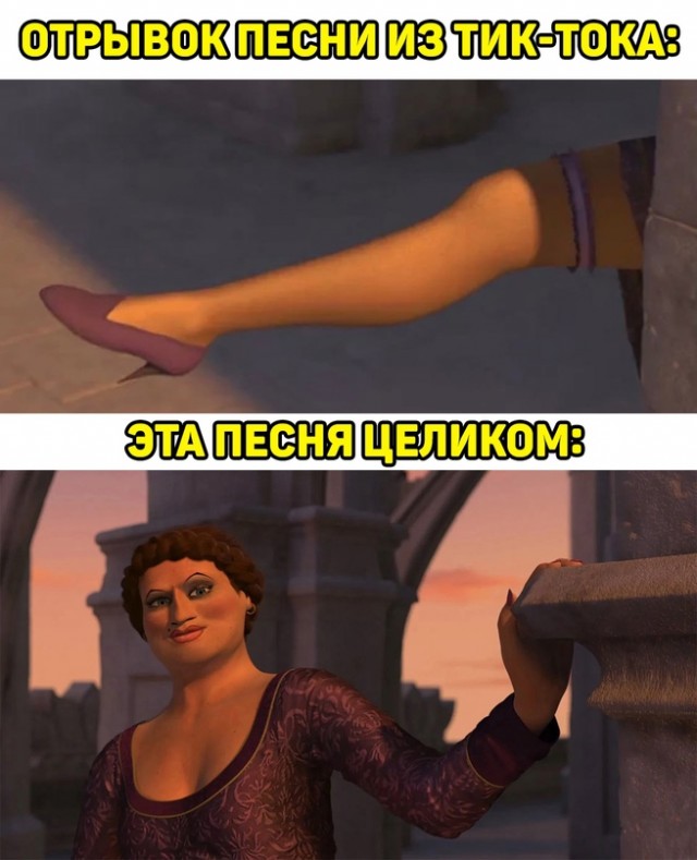 Весёлый полтишок 12.06