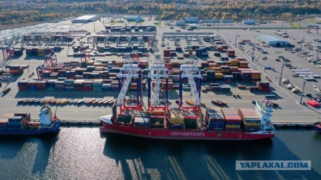 "Незаконное обогащение": как государство забирает порт Бронка у семьи экс-главы ФСО Мурова
