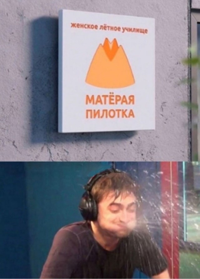 Весёлый полтишок 5.08.21