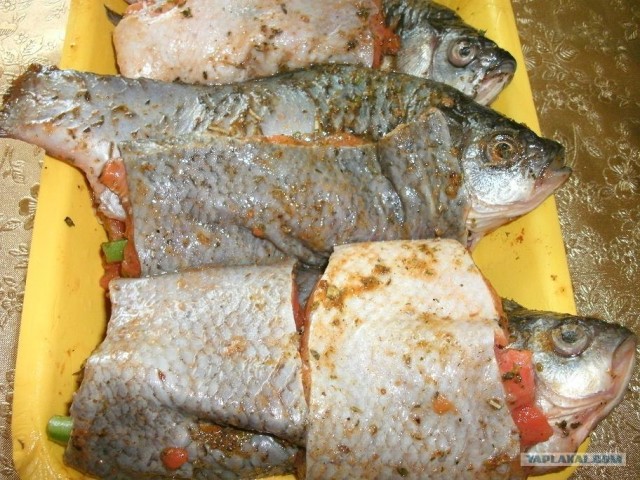 Пятничные посиделки на теплотрассе ©