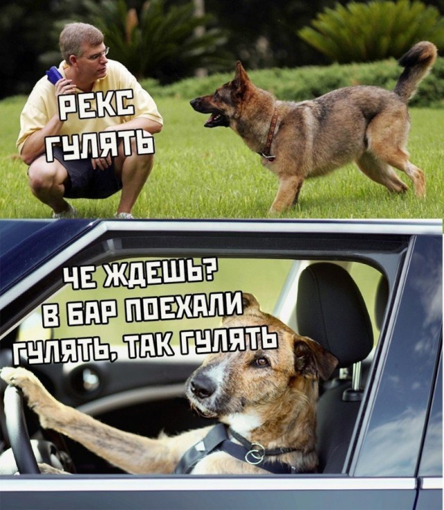 Так себе картинки 31.08.21
