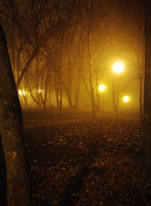 Туман в Москве