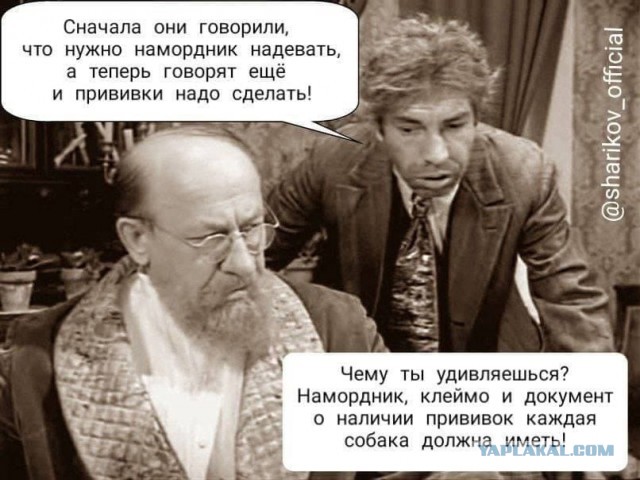 В Петропавловске прошел митинг противников введения коронавирусных ограничений и QR-кодов в России