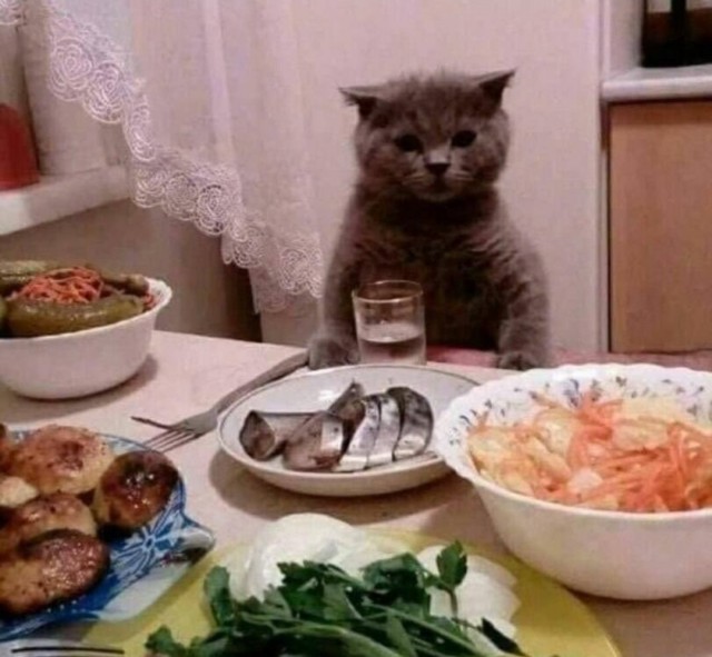У котика украли 10 грамм!