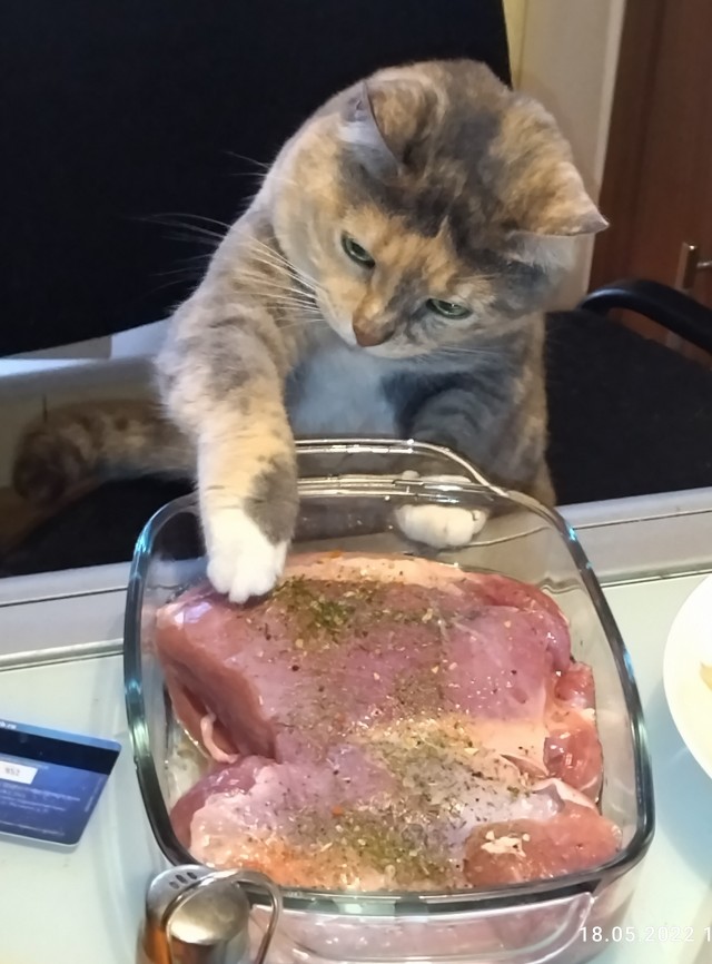 Кот д’Ивуар