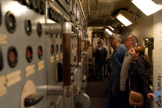 СПб глазами уставшего туриста...