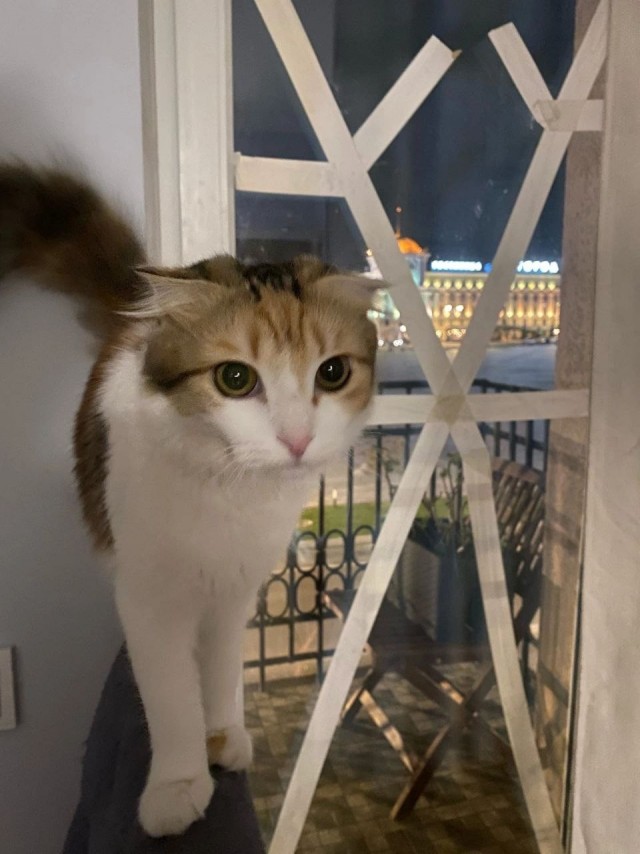 Обязательно будут лучшие времена. А пока — так