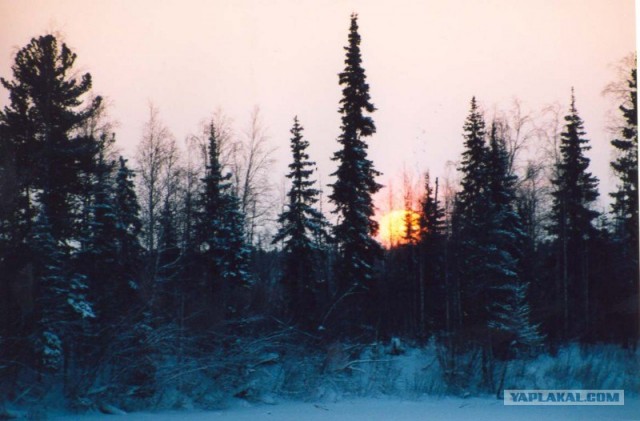 Ямал. Два времени года