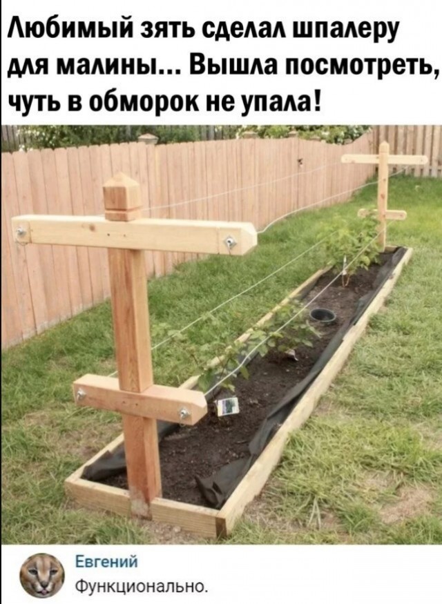Так себе картинки 30.10.22