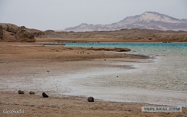Синайские приключения. Шарм-эш-Шейх и окресности