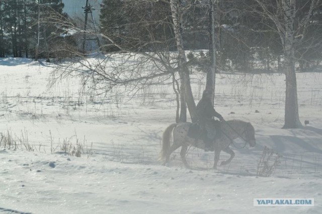 Чуток свежего воздуха