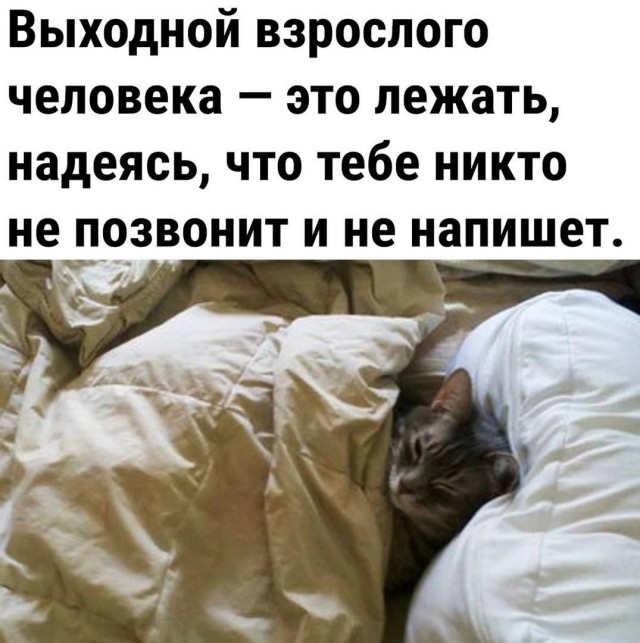 25 картинок
