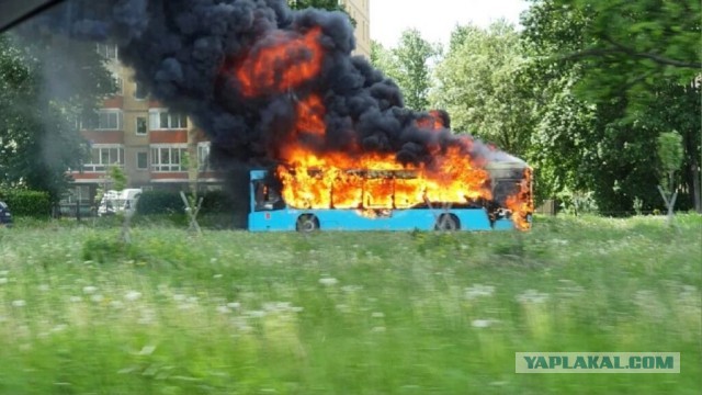 В Петербурге у автобуса вывалился двигатель из-за проезда по яме