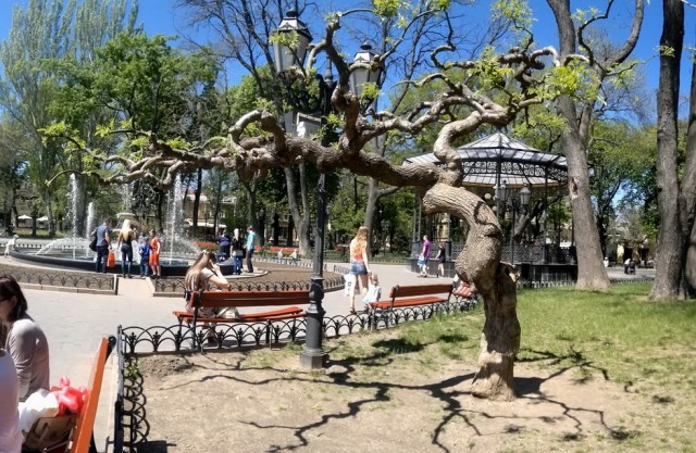 Одесса