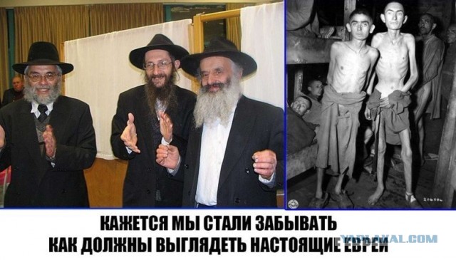 Один день оператора НР 6000