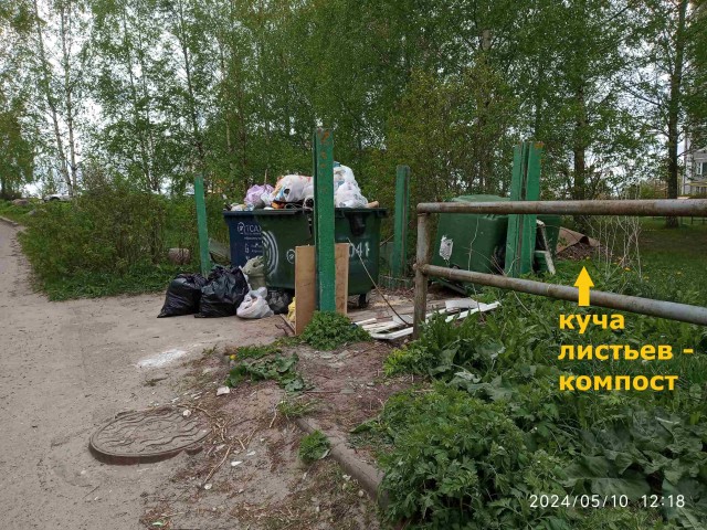 Клумба во дворе 2024 весна