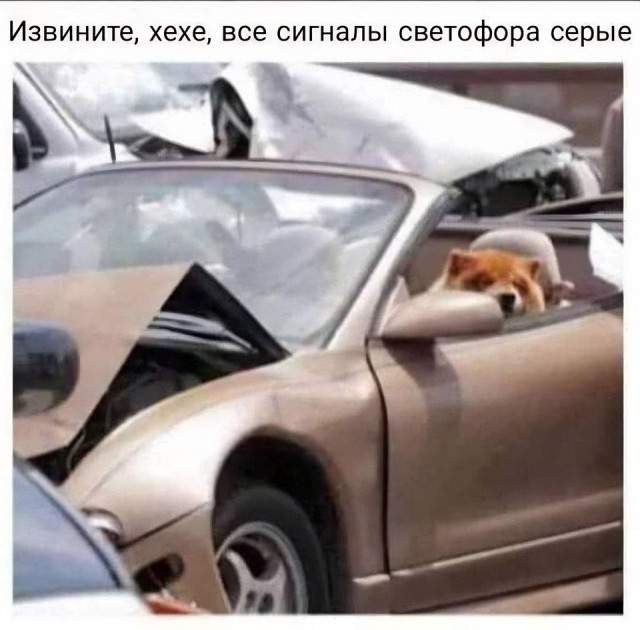 Так себе картинки 07.07.24