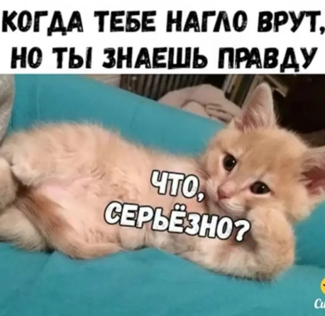 Порнхаб все?