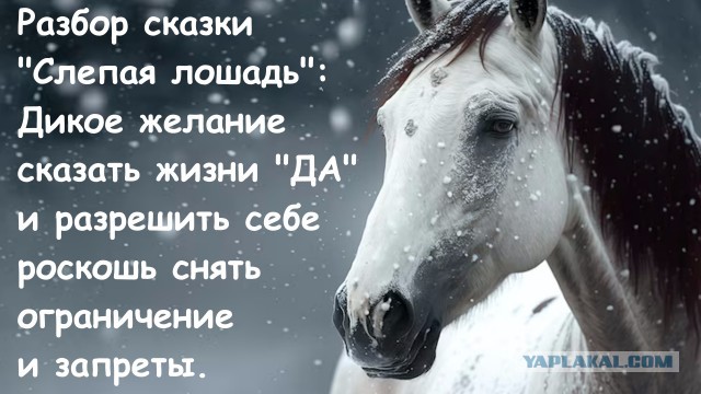 Вляпался. Хочу только свою жену. Это нормально как считаете?
