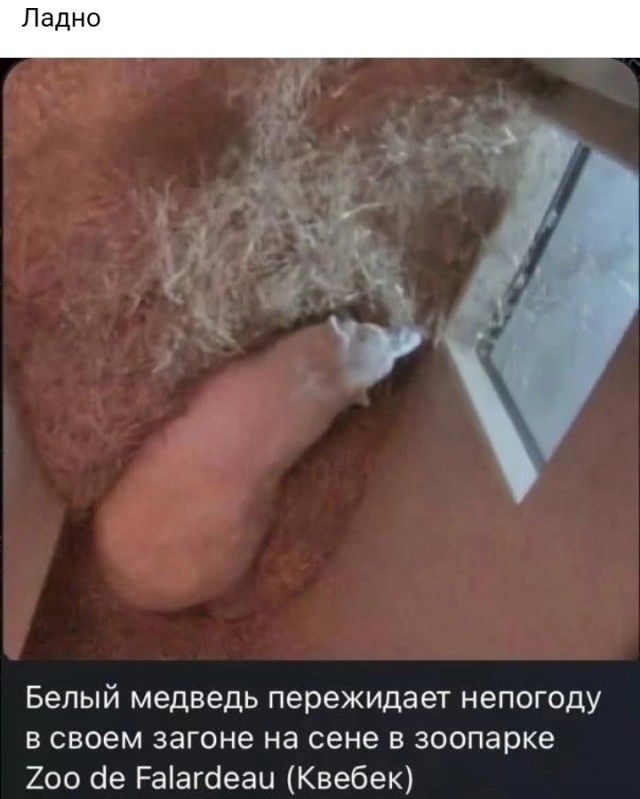 Нуштош 04.10.2024