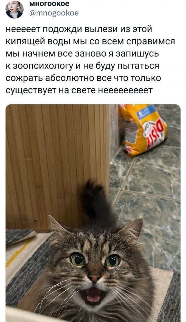- Давайте я вам переведу