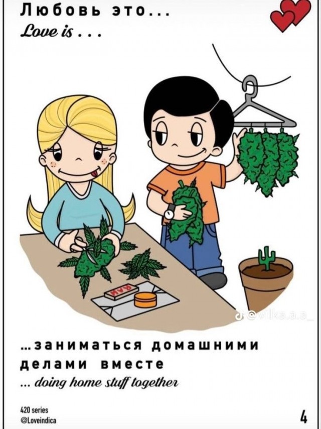 Прикольные и просто красивые картинки 10.01.2025