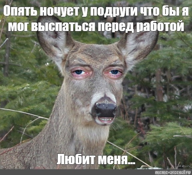 Мужикам тут не место: зачем вступать в брак, если женщина выиграет?
