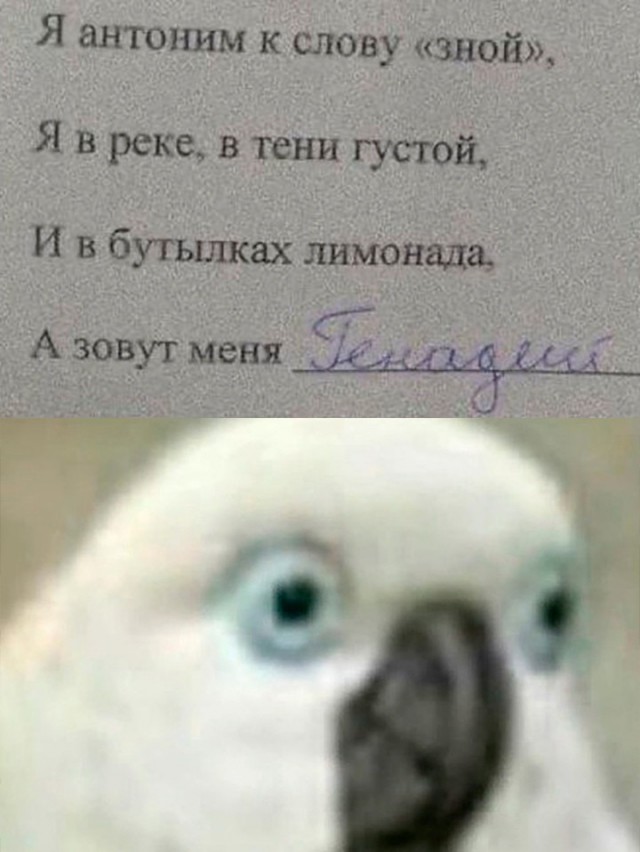 Решил поделиться моей коллекцией боянов (часть 2)