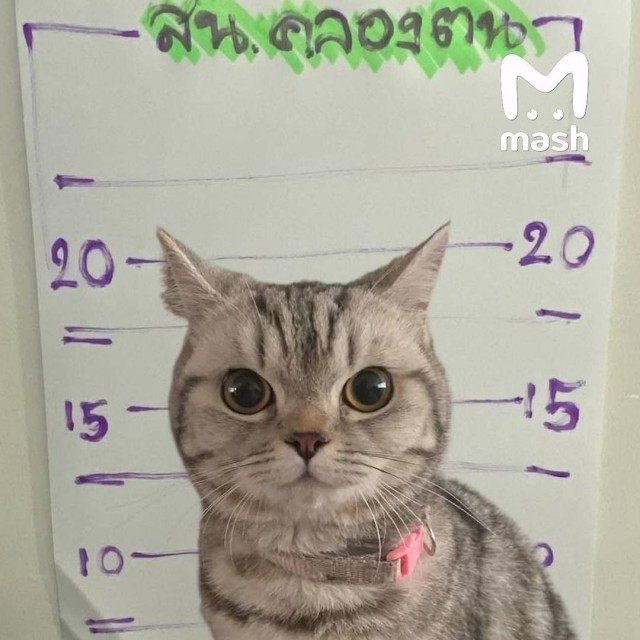 Нападение на полицейских в Тайланде