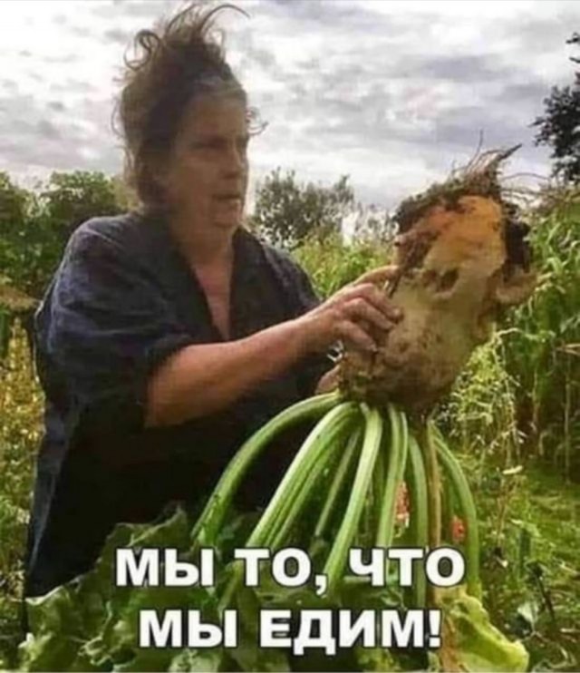 Веселое настроение в картинках (10.07.25)