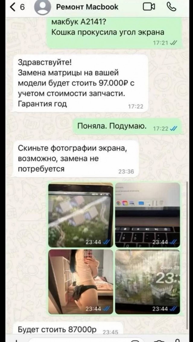 Веселое настроение в картинках 24.07.25