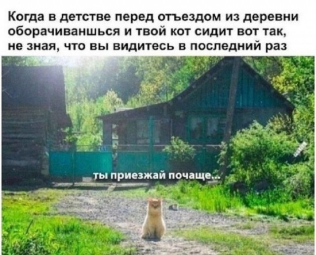 Так себе картинки 02.09.25