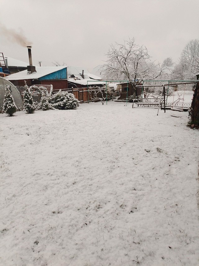 Зима пришла в Беларусь