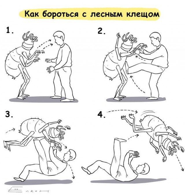 На юге России заметили огромных клещей-мутантов с высокой скоростью передвижения