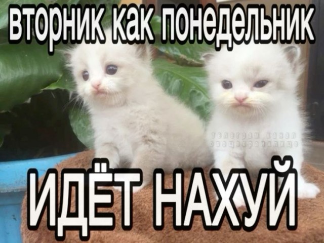 Немного картинок на ночь
