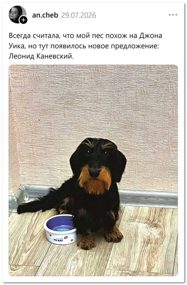 Похож?⁠⁠