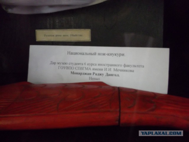 Музей судебной медицины