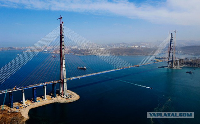 За мову скоро в Киеве будут давать по морде
