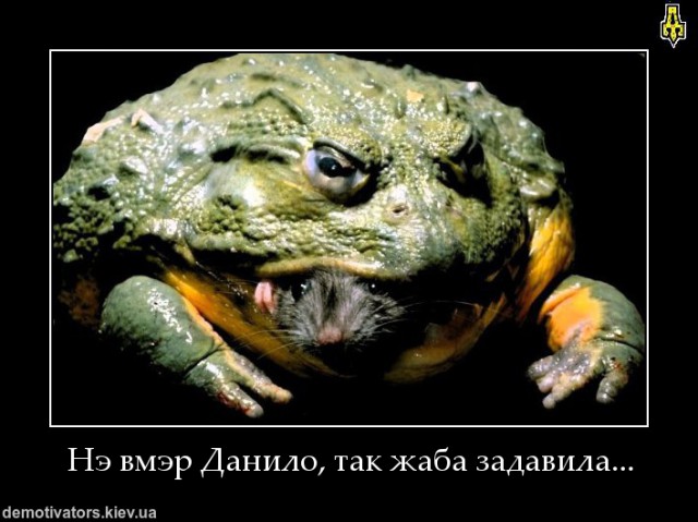 Дебилы
