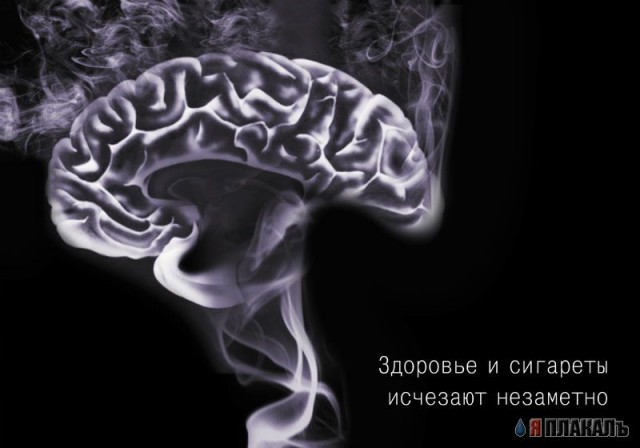 Табак. Сигареты, сигары, трубки, пепельницы..