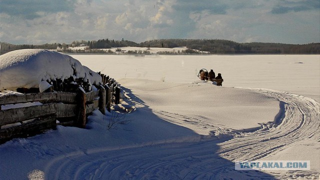 Дорога домой